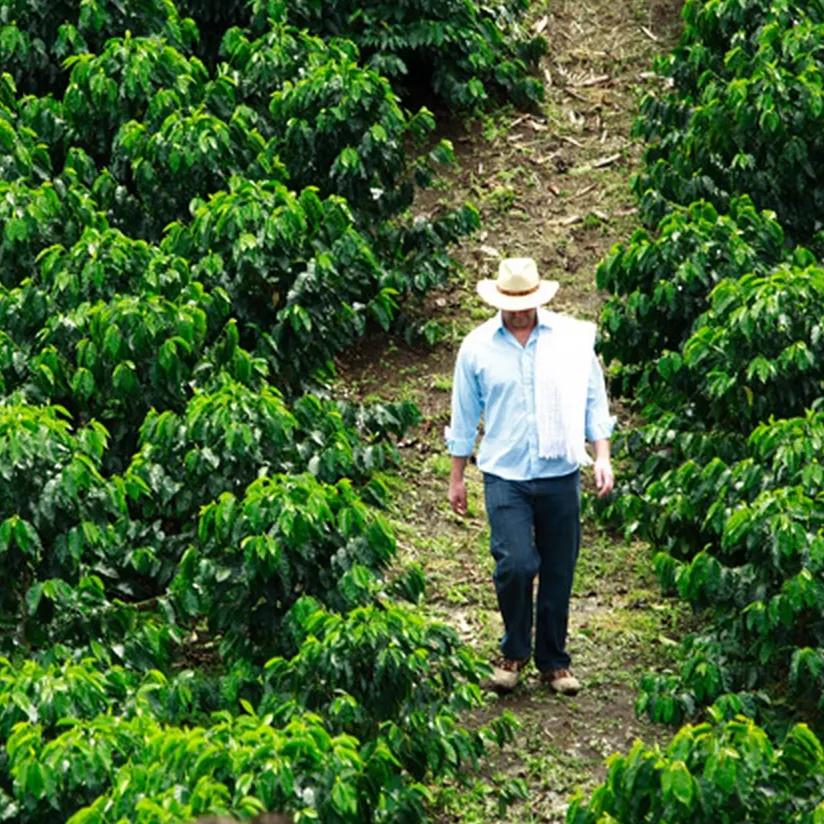 Hacienda Filo Alto - Pitalito, Huila