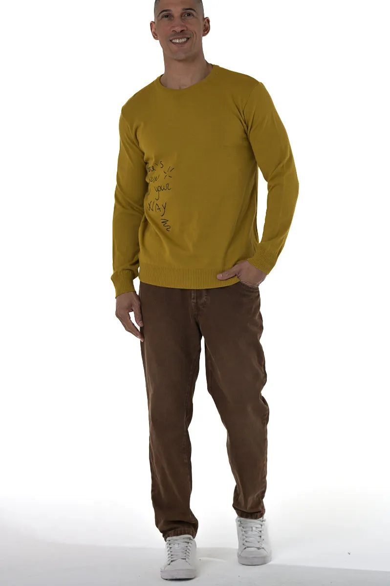 Maglione uomo con ricamo DM 2404 in vari colori - Displaj